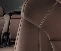 Leather Interior