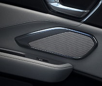 Premium Audio System