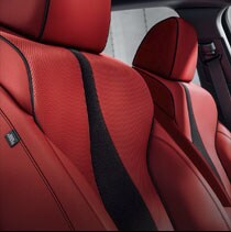 leather-trimmed interior