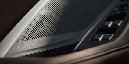 Premium Bang & Olufsen Sound System