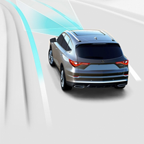  Road Departure Mitigation (RDM)*