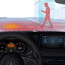  Pedestrian Detection*