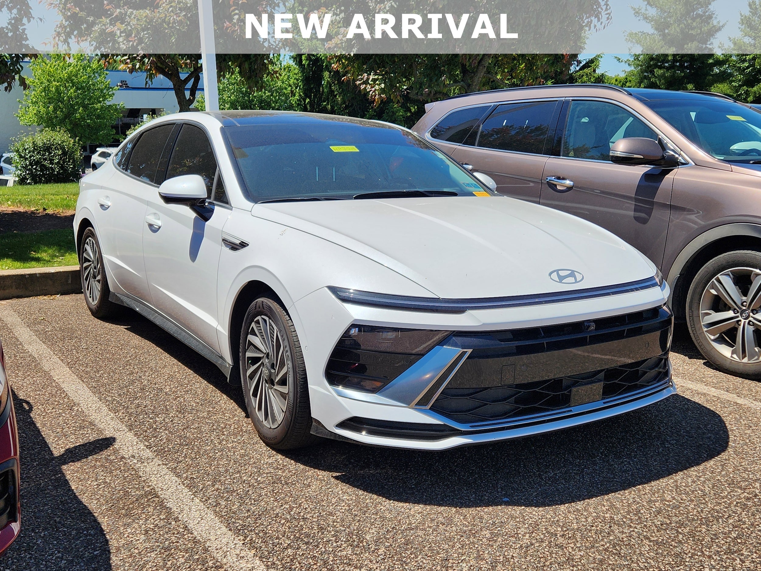 2025 Hyundai Sonata Limited's photo