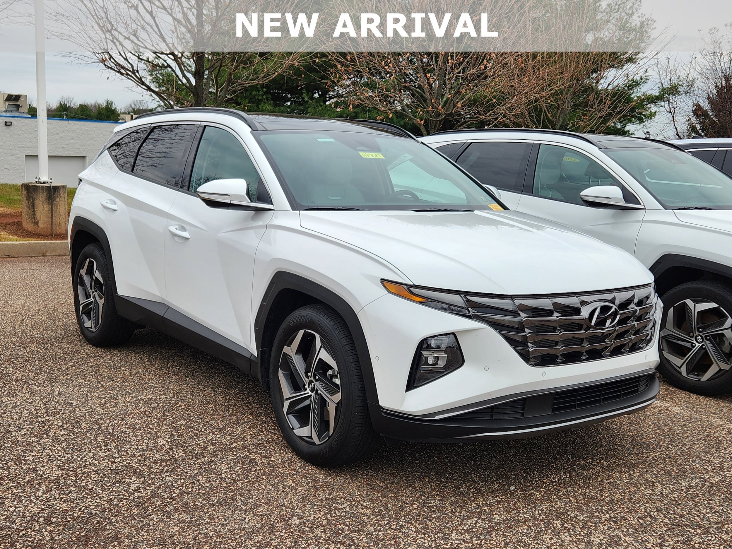 2023 Hyundai Tucson SUV 