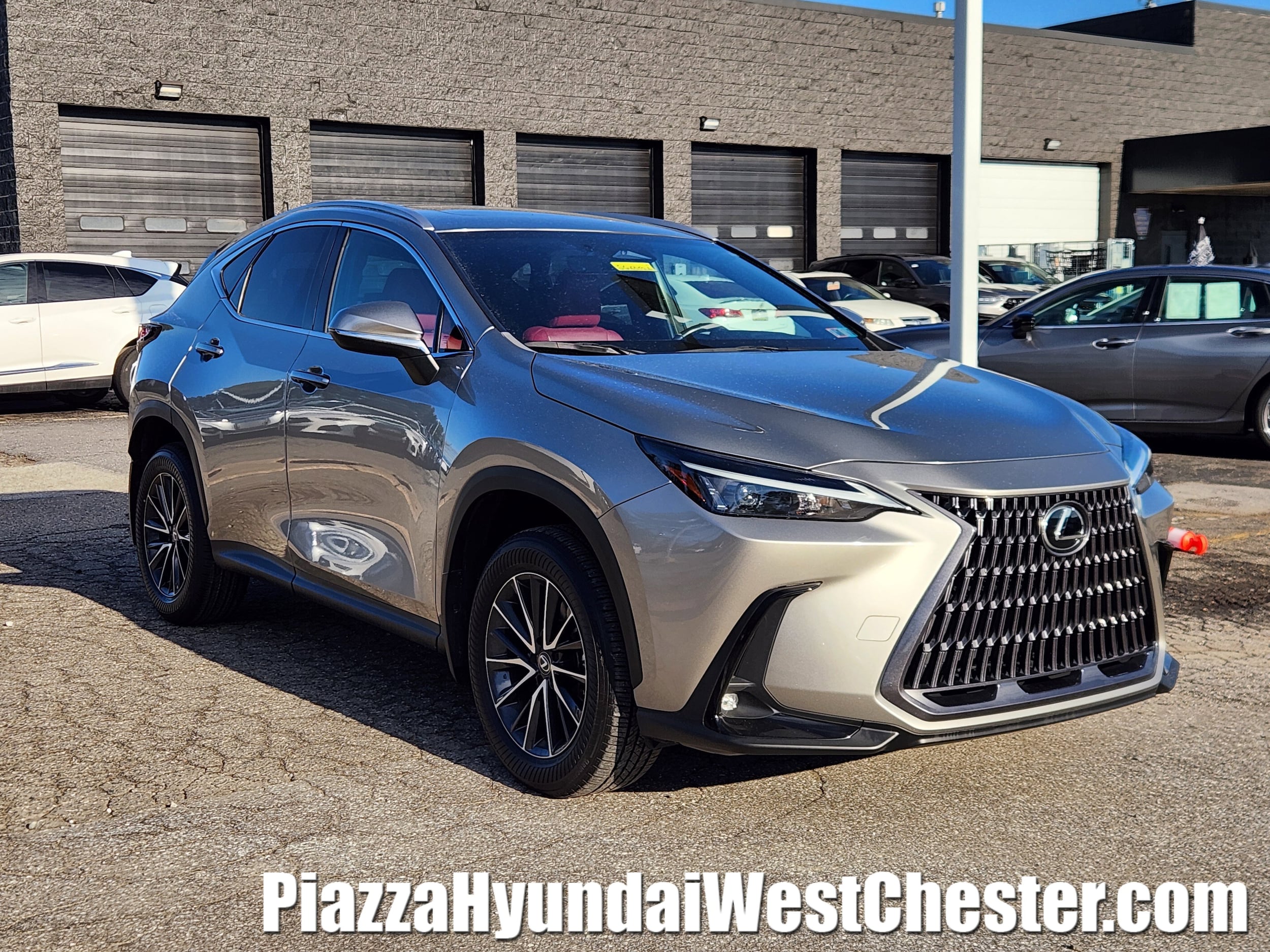 2024 Lexus NX Base's photo