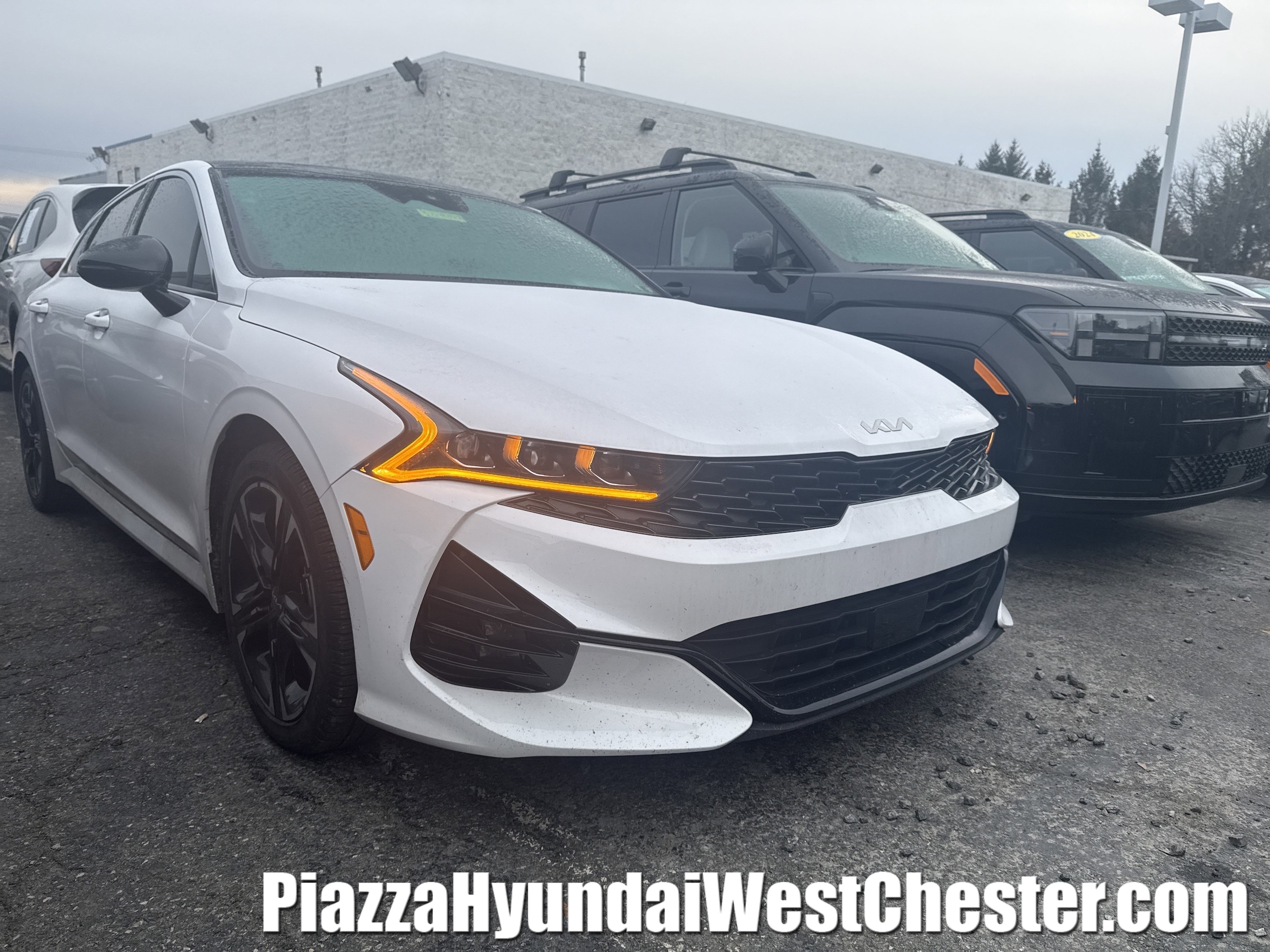 2023 Kia K5 GT-Line's photo