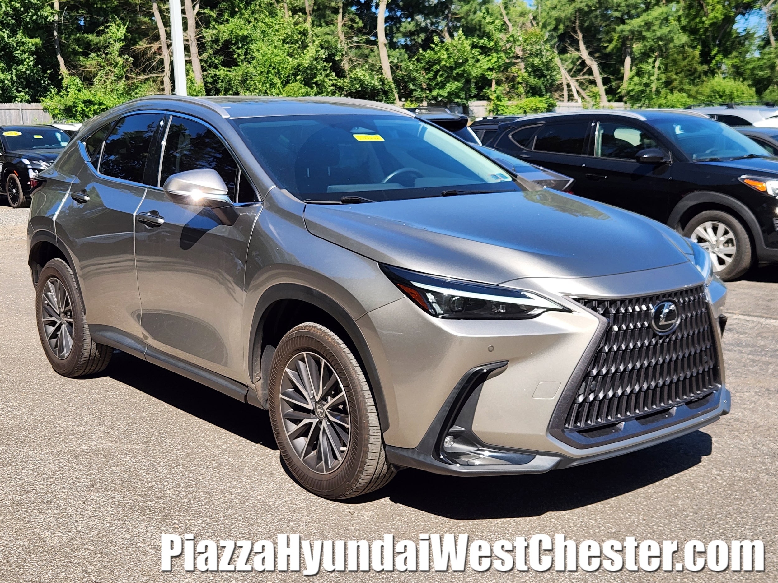 2023 Lexus NX 350 350 Premium AWD's photo