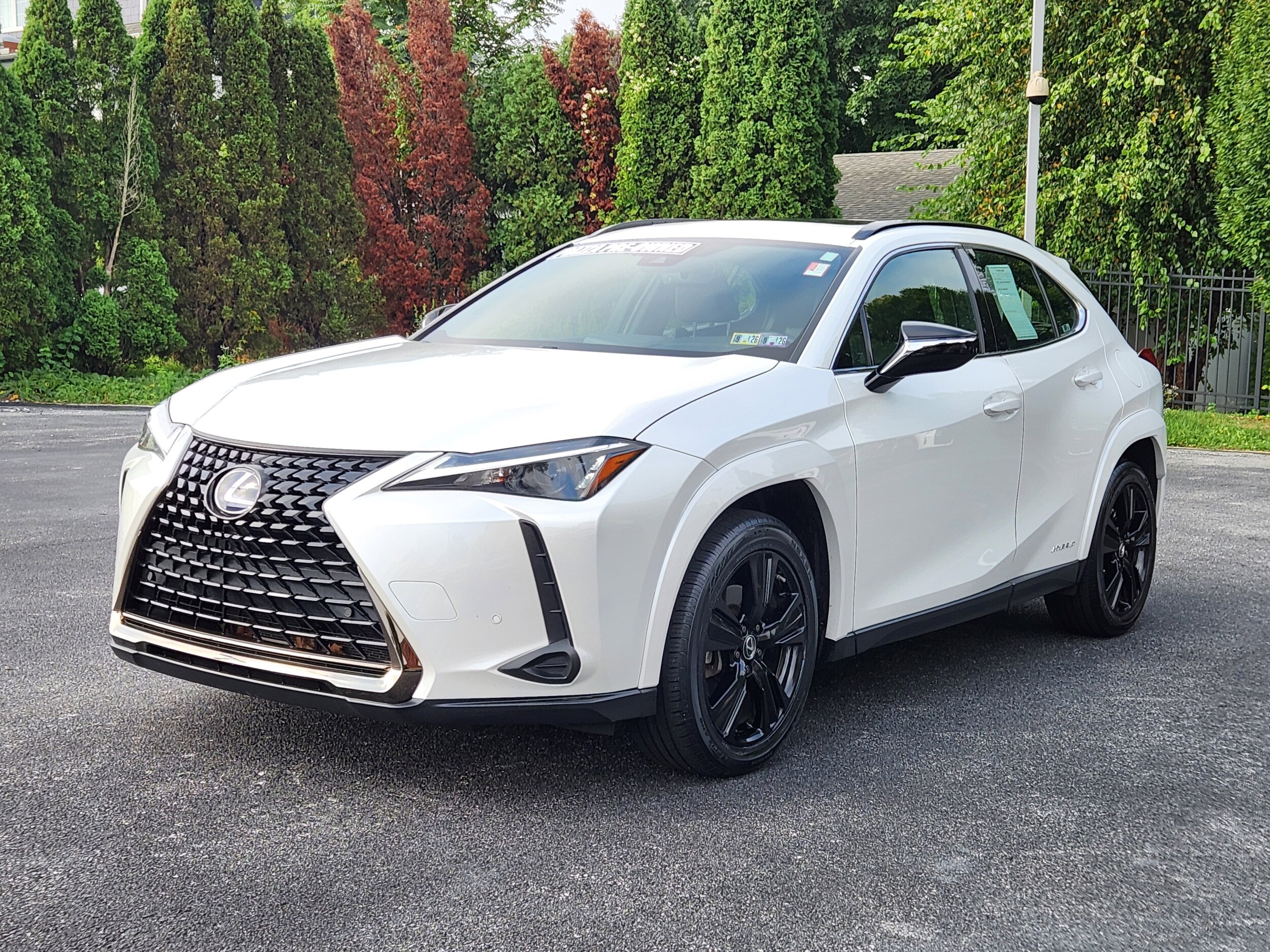 2021 Lexus UX 250h photo 2