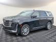 Used 2024 CADILLAC Escalade Premium Luxury Platinum SUV