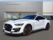 Used 2022 Ford Mustang Shelby GT500 Fastback Coupe