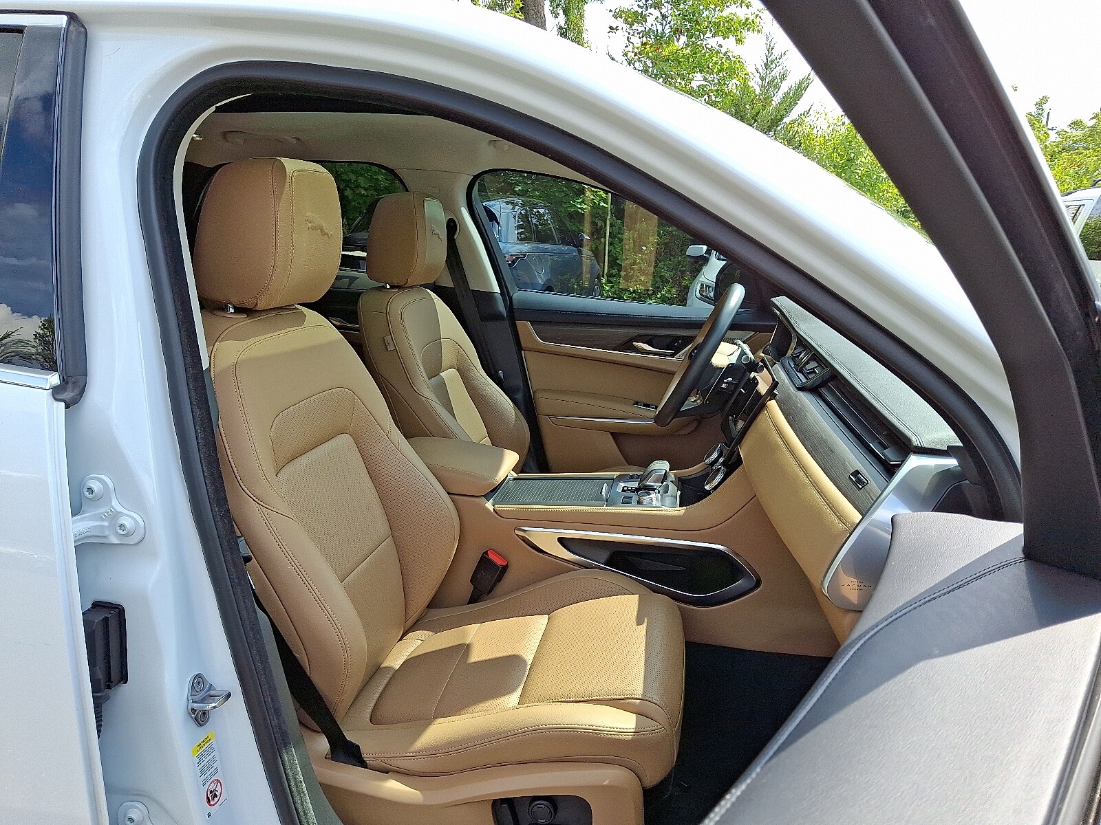 2023 Jaguar F-PACE S P250 photo 3