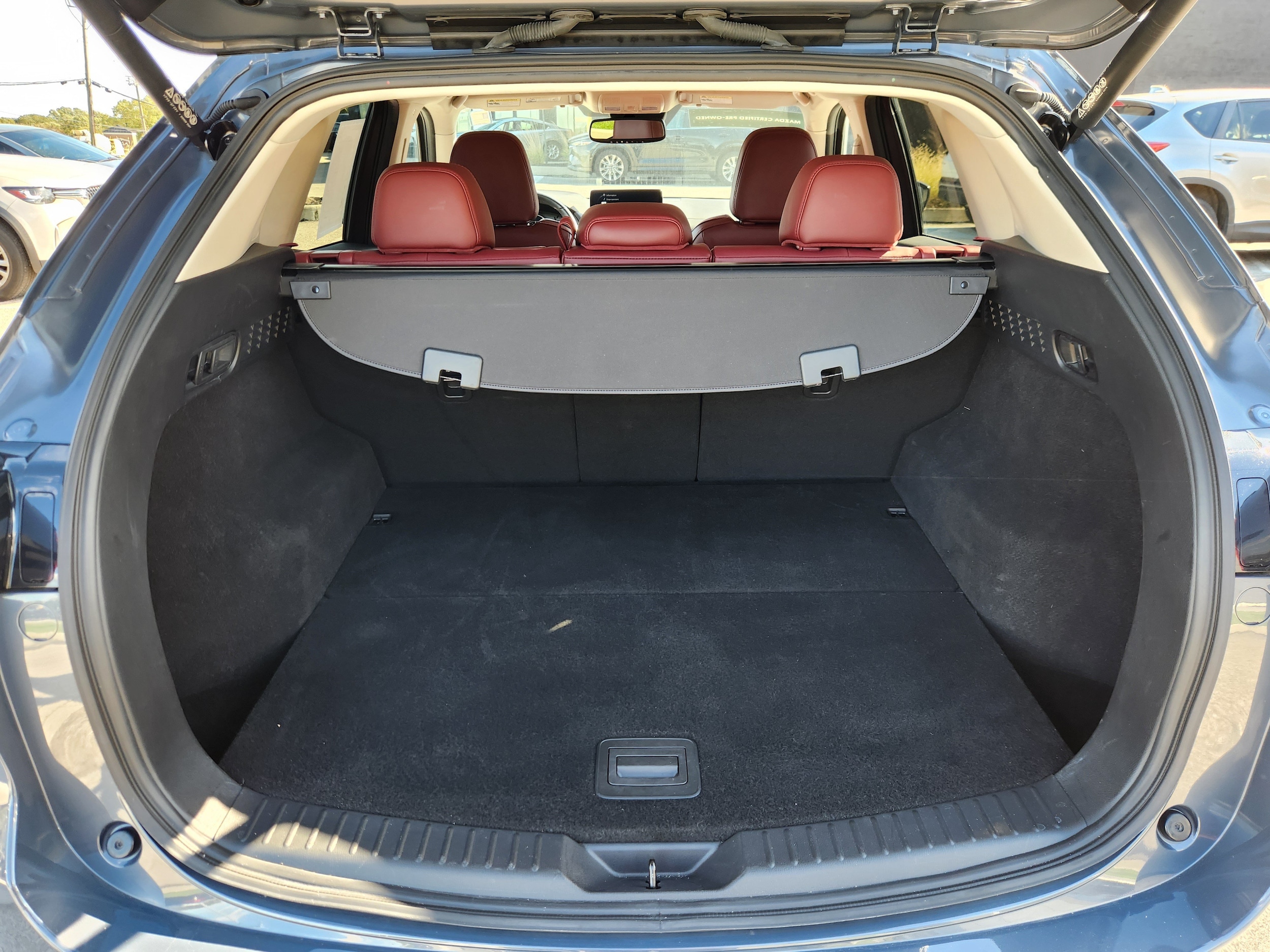 Photo 19
