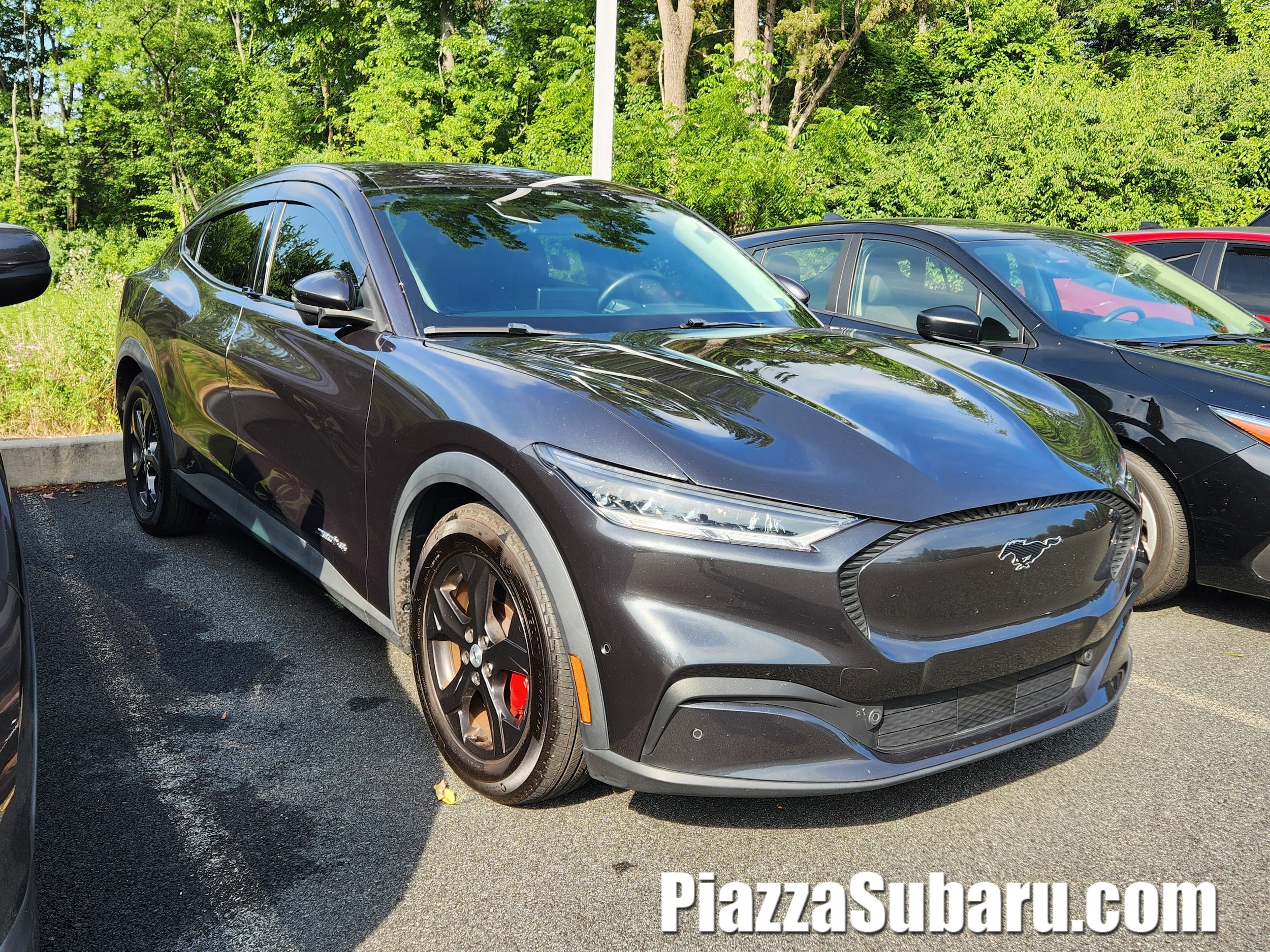 2021 Ford Mustang-Mach-e Select's photo