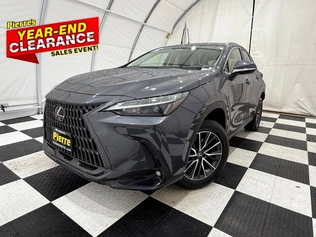 2022 Lexus NX 250's photo