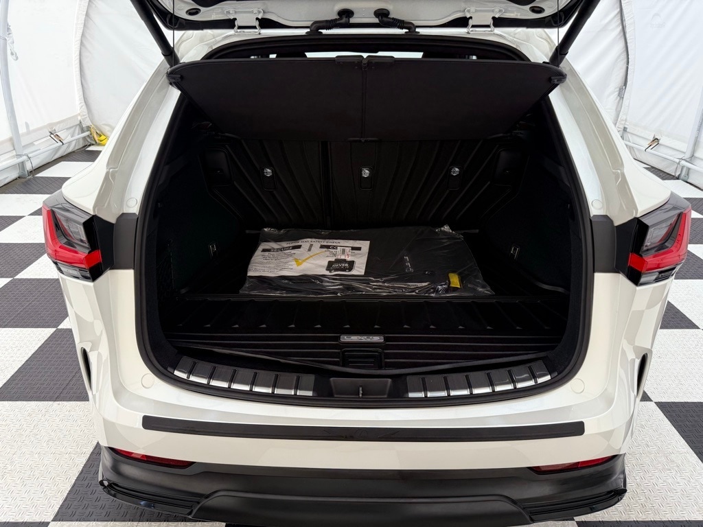 2025 Lexus NX Luxury photo 3