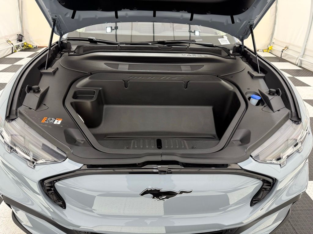 2025 Ford Mustang Mach-E Premium - Photo 9