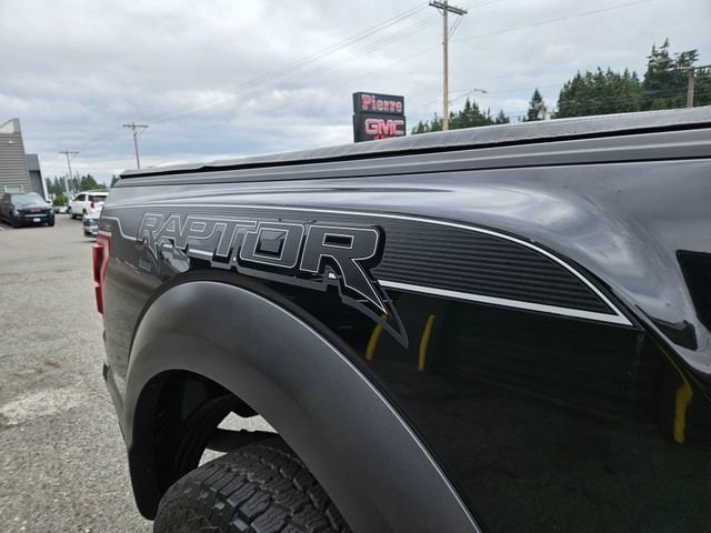 2019 Ford F-150 Raptor - Photo 11