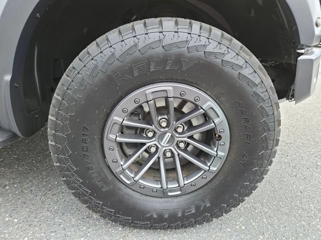 2019 Ford F-150 Raptor - Photo 10