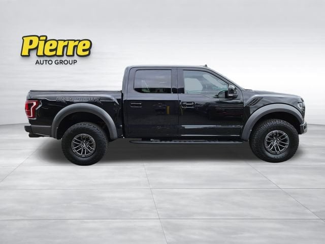 2019 Ford F-150 Raptor - Photo 6