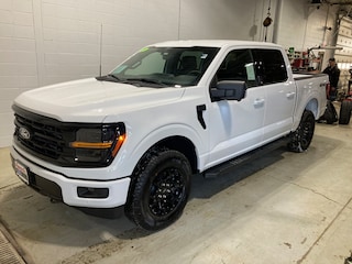 2025 Ford F-150 XLT Truck