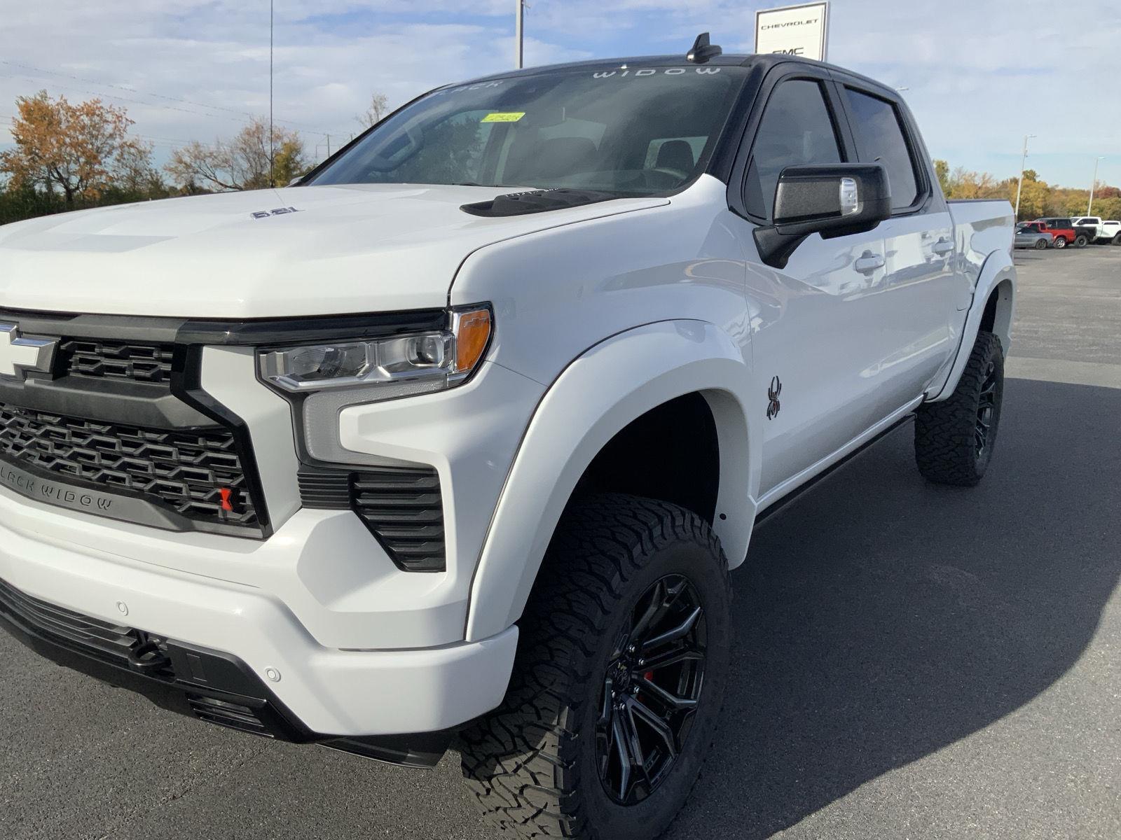 2025 Chevrolet Silverado 1500 RST - Photo 19