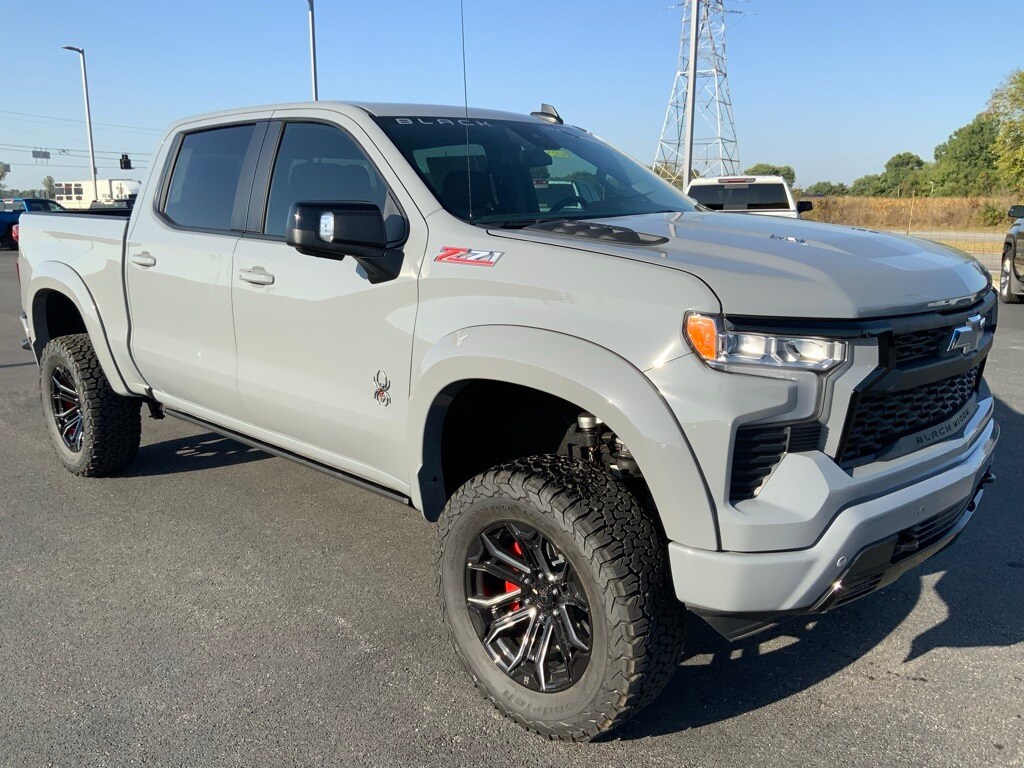 2025 Chevrolet Silverado 1500 RST photo 2