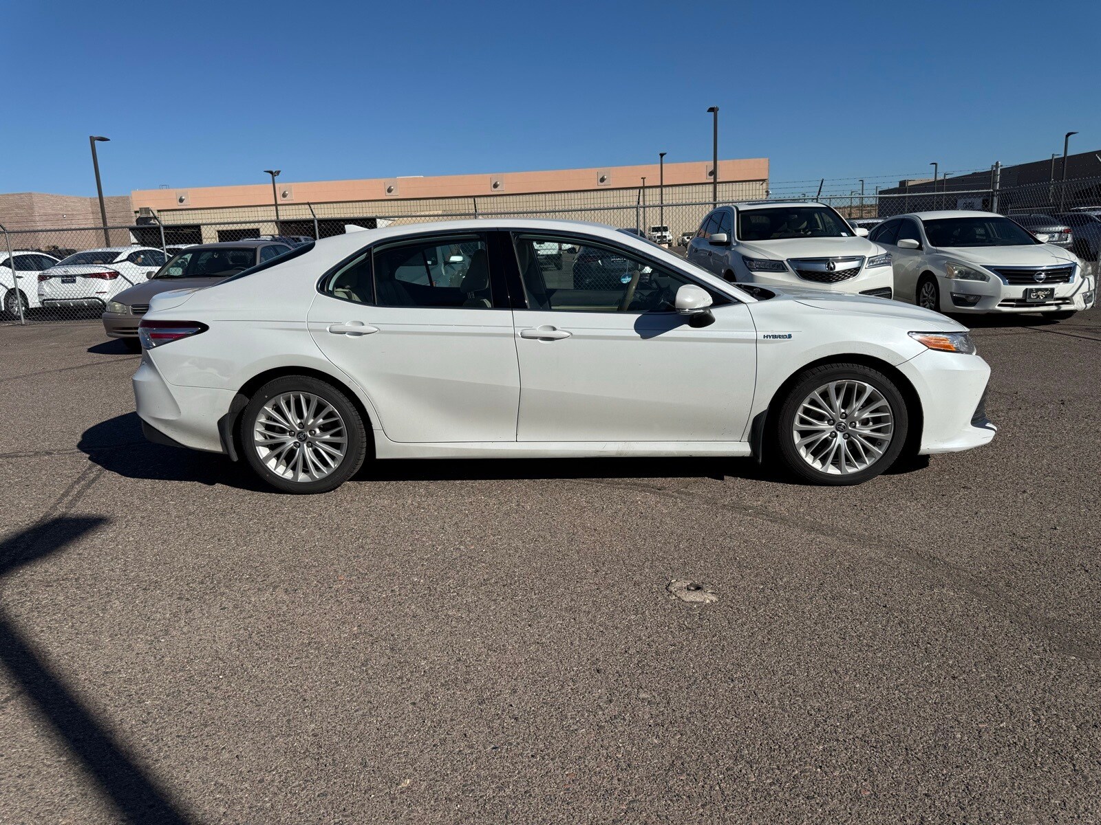 2020 Toyota Camry Hybrid XLE photo 3
