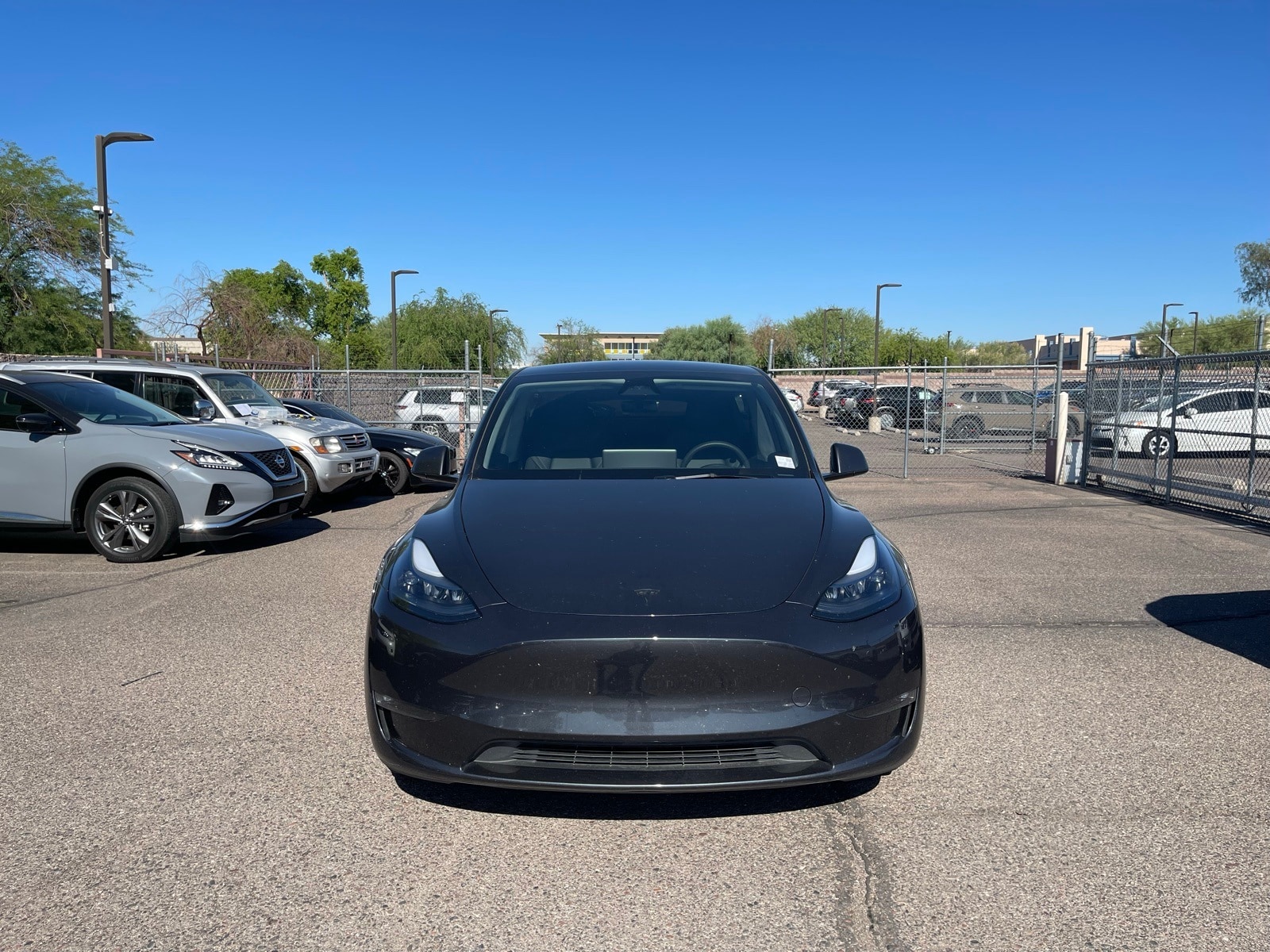 Used 2024 Tesla Model Y Long Range with VIN 7SAYGDEE1RF993827 for sale in Northfield, Minnesota