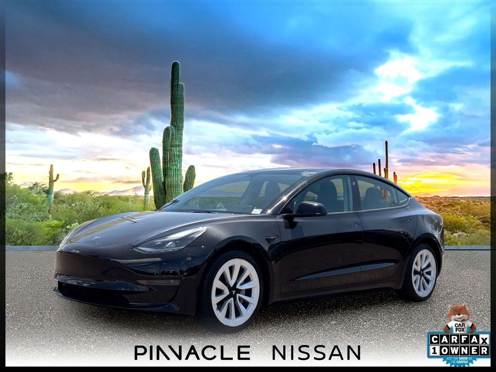 2023 Tesla Model 3 -'s photo