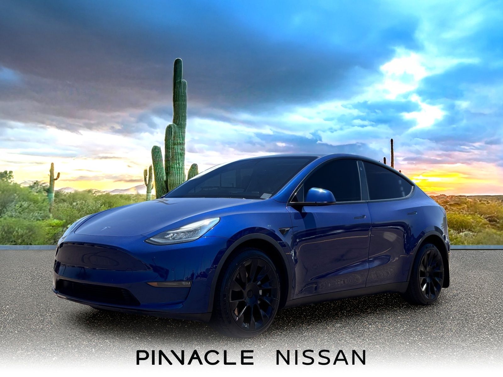 2021 Tesla Model Y's photo