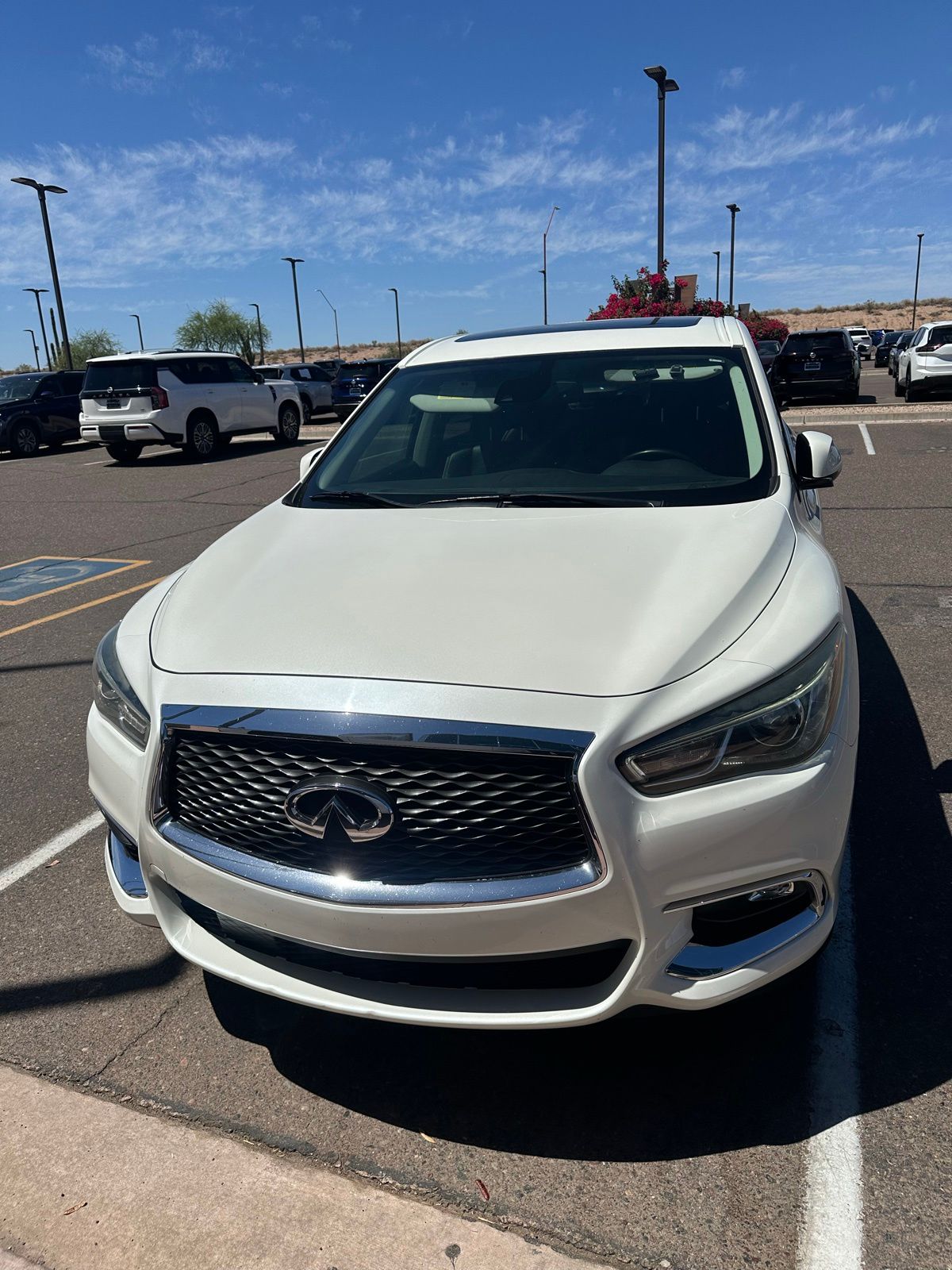 2019 INFINITI QX60 PURE's photo