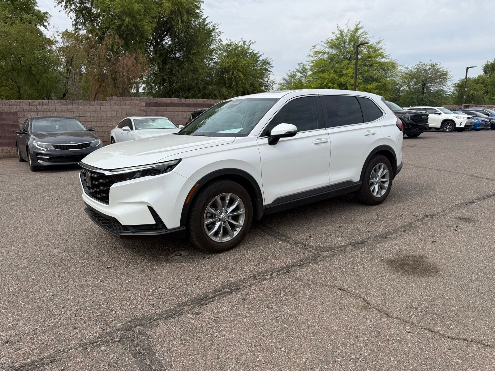 2024 Honda CR-V EX-L 2WD's photo