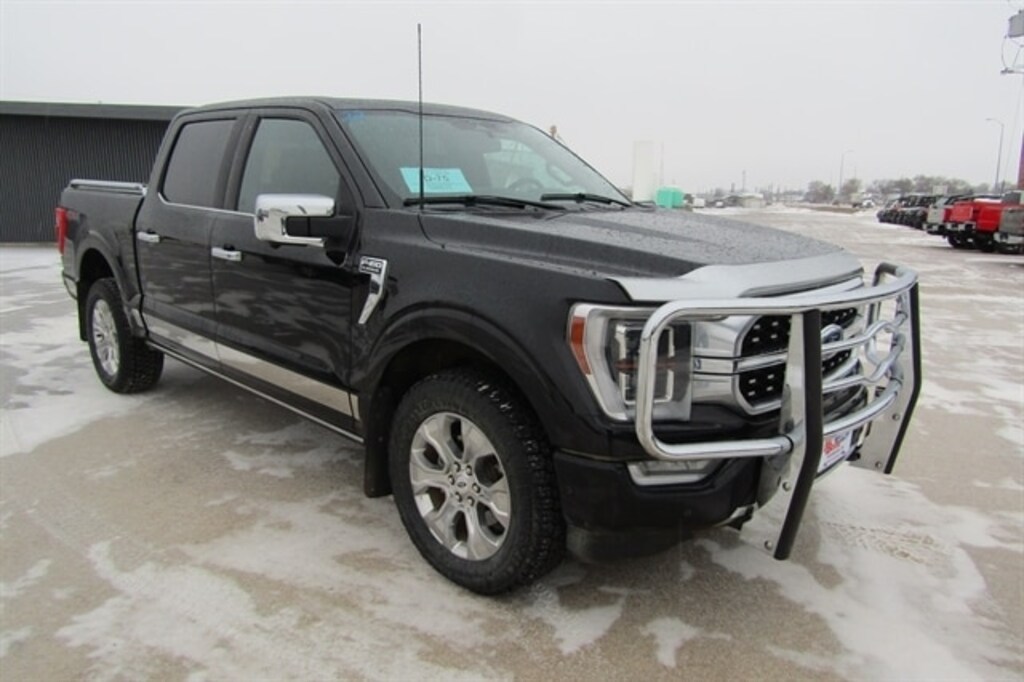 Used 2022 Ford F-150 Platinum Pickup
