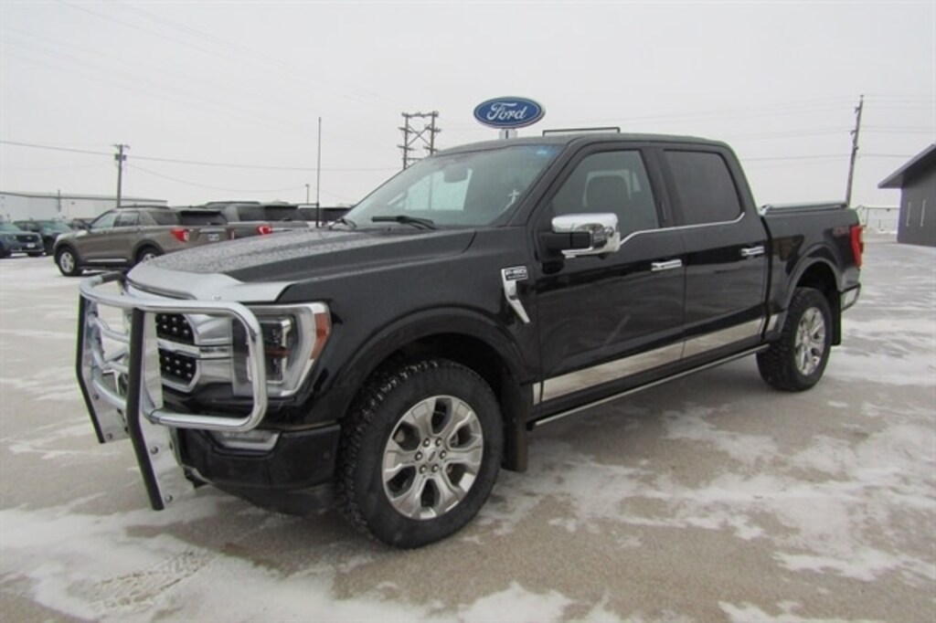 Used 2022 Ford F-150 Platinum Pickup