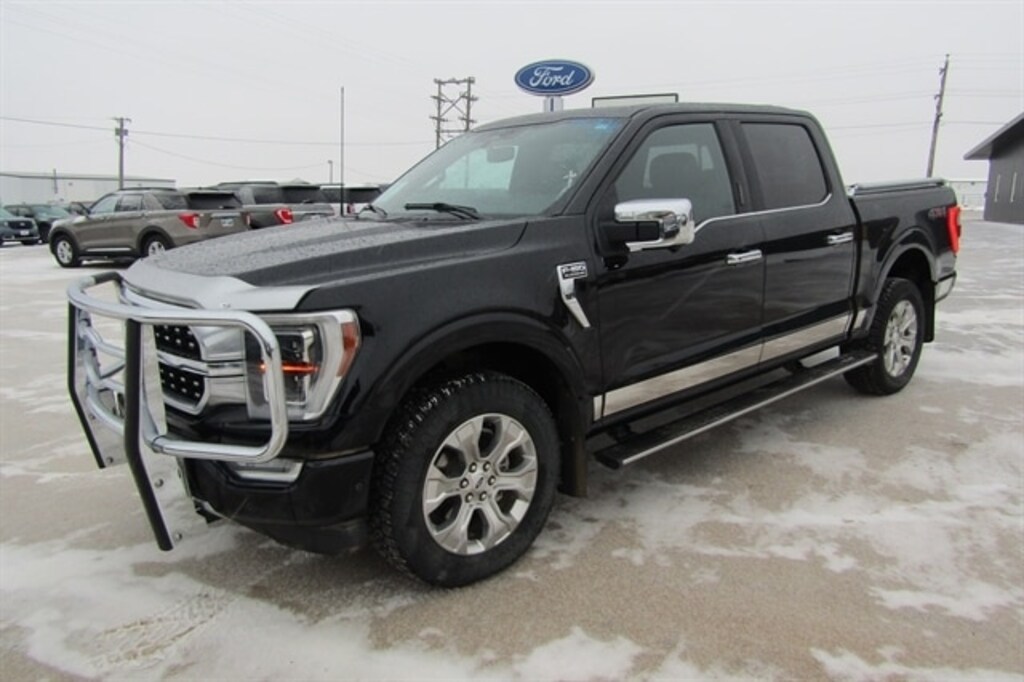 Used 2022 Ford F-150 Platinum Pickup