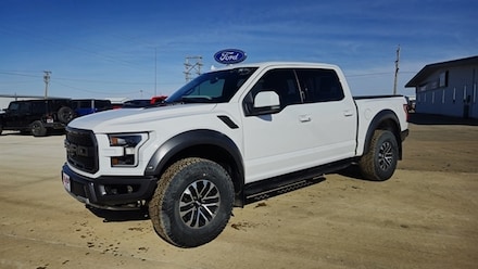 2019 Ford F-150 Raptor Crew Cab Short Bed Truck