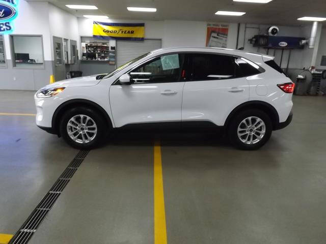 2020 Ford Escape SE photo 2