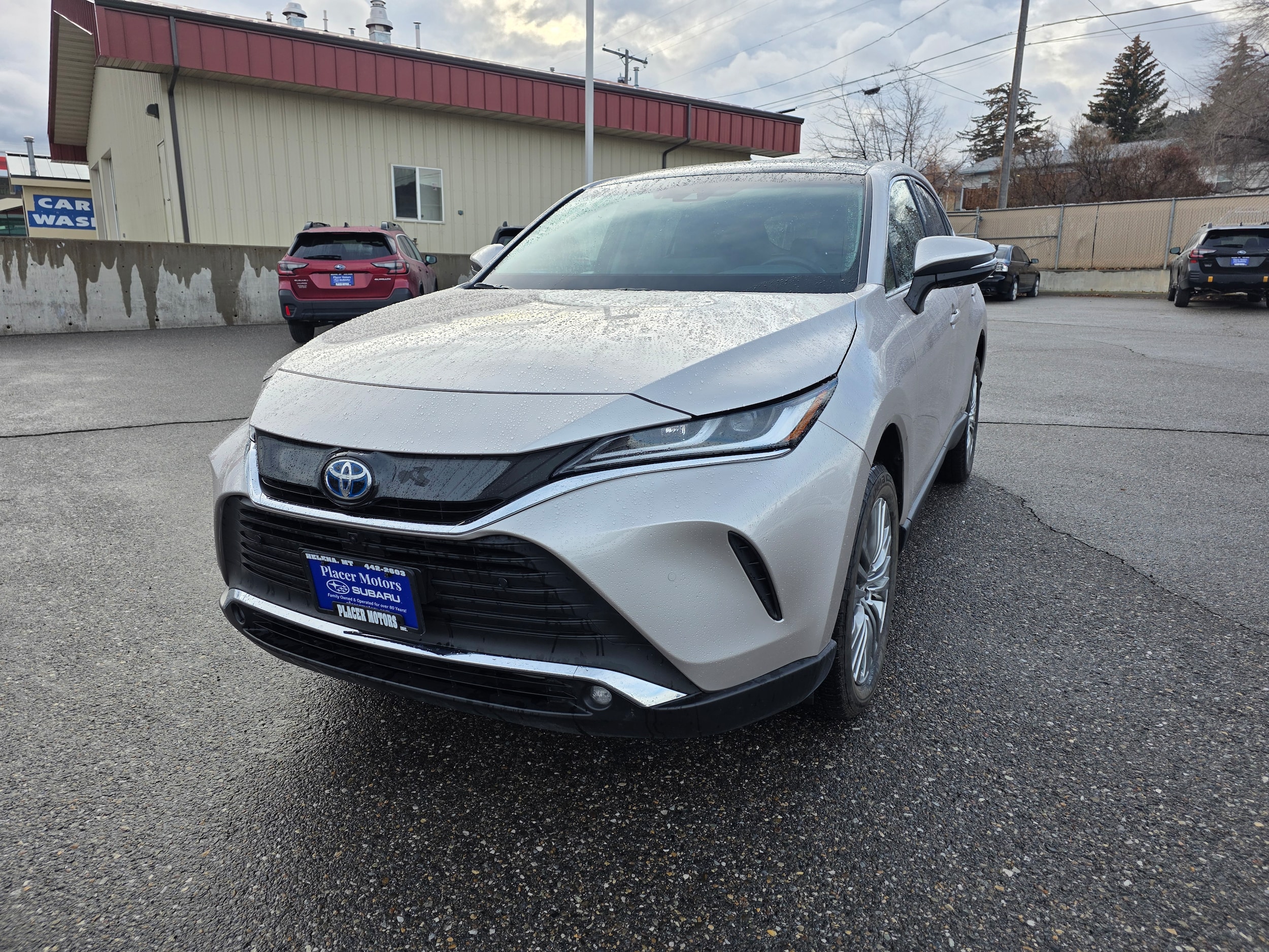 2024 Toyota Venza Limited's photo