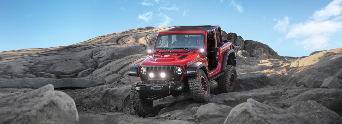 2019 Jeep Wrangler JL  Rubicon SUV