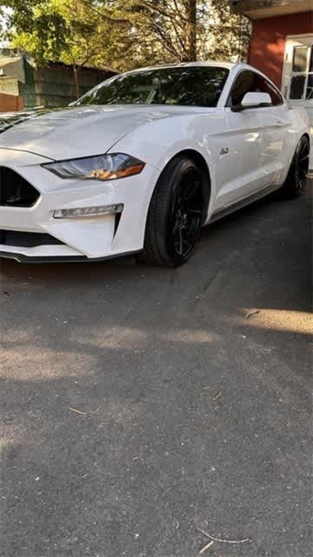 Used 2019 Ford Mustang GT Premium Coupe