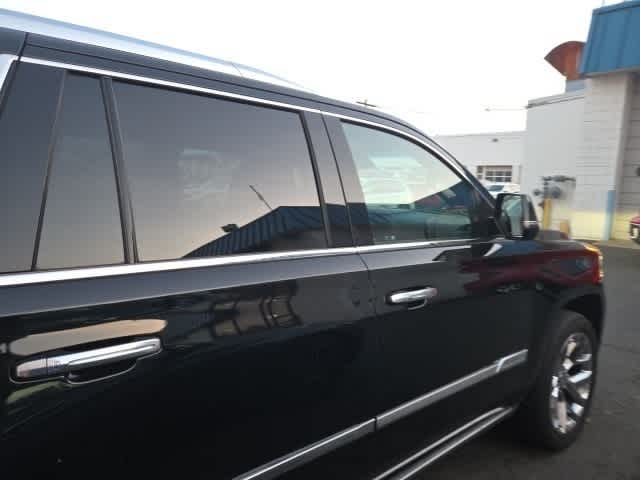 Thumbnail: 2019 Cadillac Escalade - 16