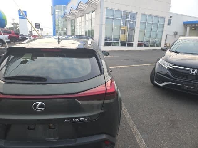 2023 Lexus UX 250h 10
