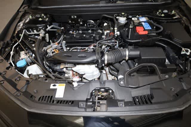 Thumbnail: 2023 Honda Accord - 34