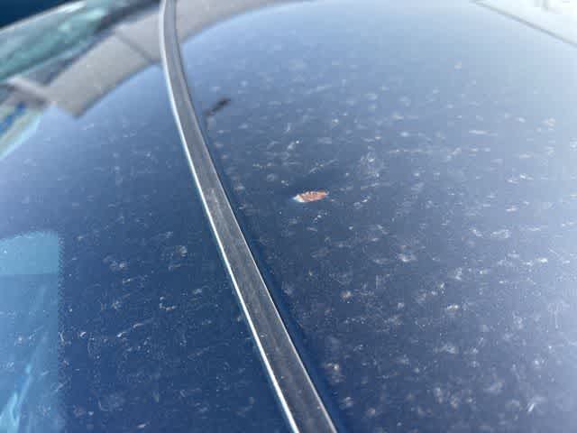 Thumbnail: 2023 Acura Integra - 29