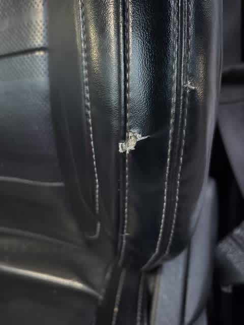 Thumbnail: 2019 Ford Mustang - 12