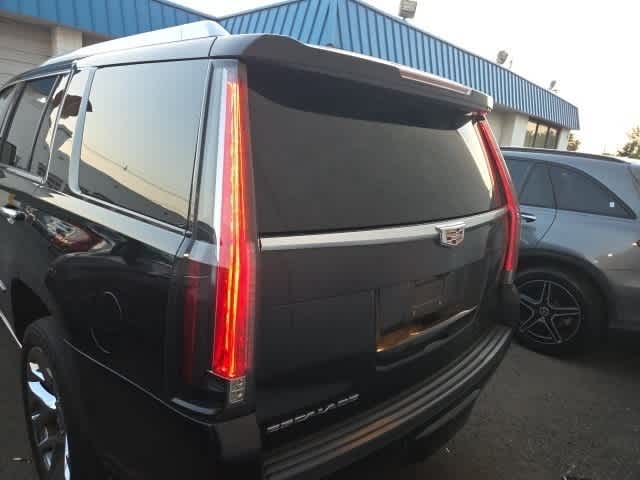 Thumbnail: 2019 Cadillac Escalade - 10