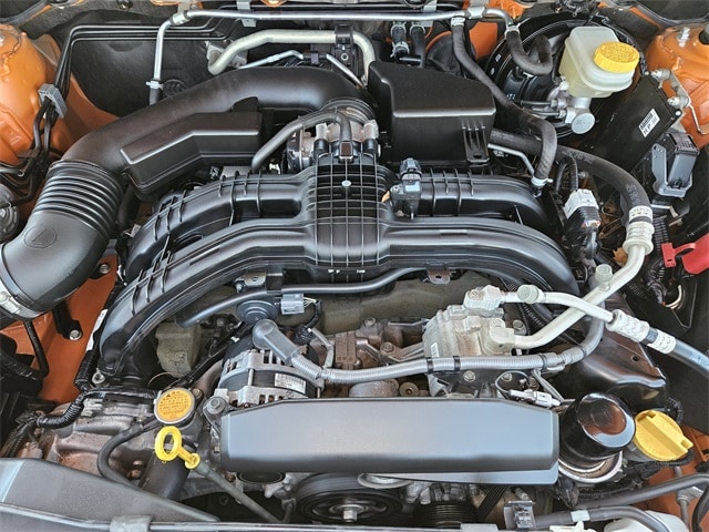 View 29