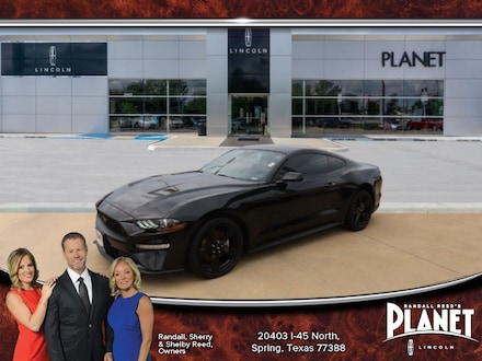 2022 Ford Mustang Ecoboost Fastback Car