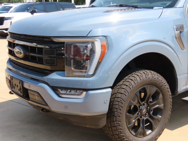 2023 Ford F-150 Platinum photo 3