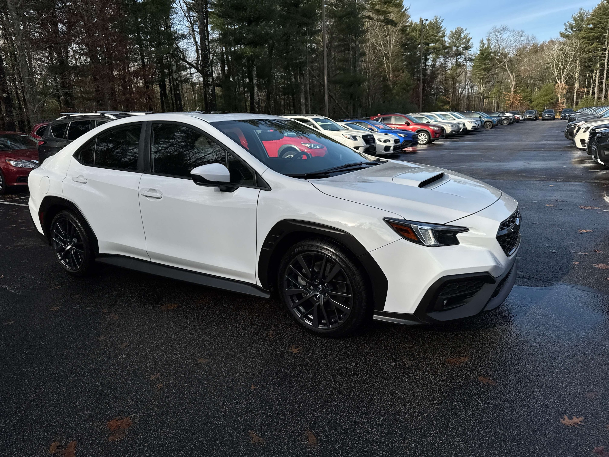 2024 Subaru WRX Premium's photo